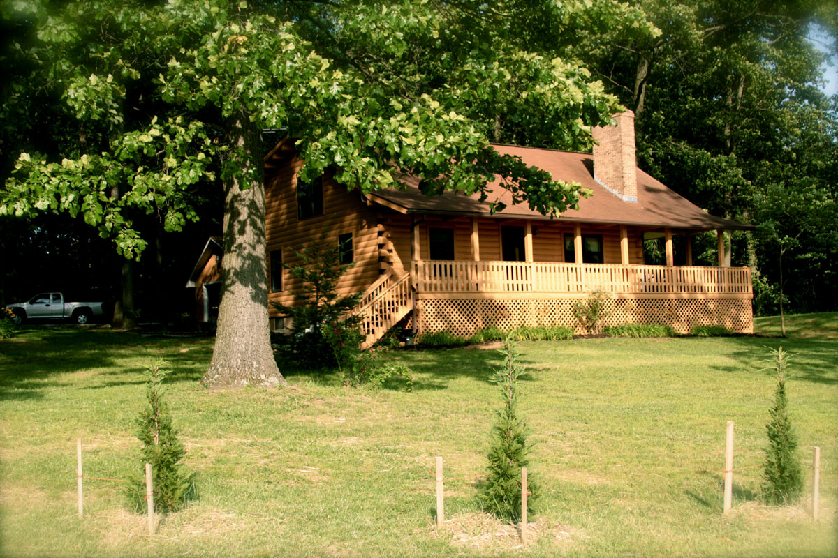 Log cabin under a tree in Tennessee